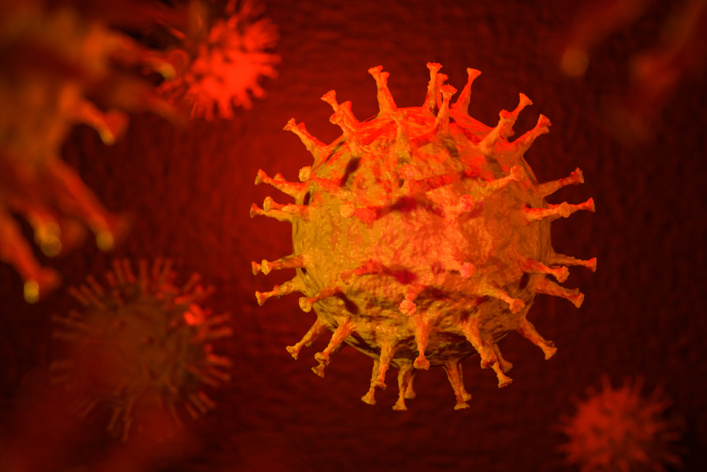 corona virus