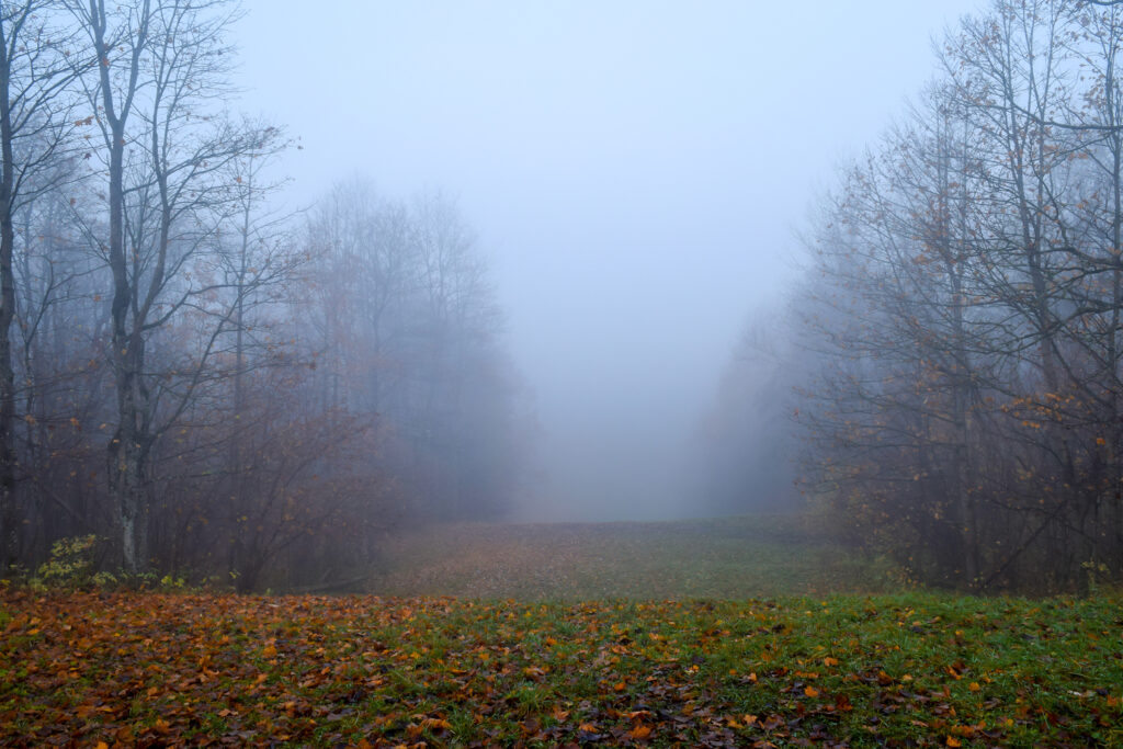 fog computing